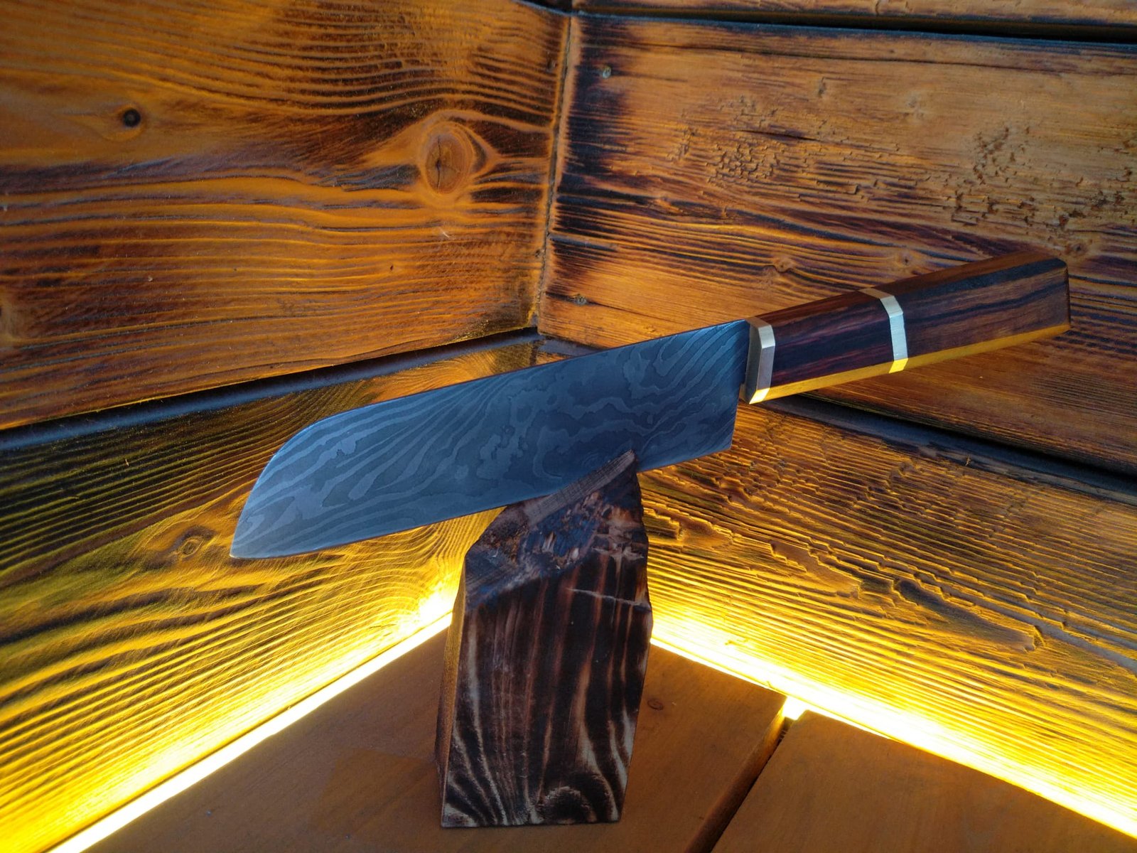 WhatsApp Image 2026-02-25 at 18.28.59 (1)