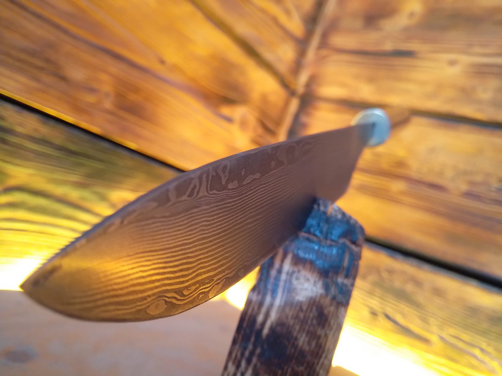 WhatsApp Image 2026-02-25 at 18.29.03 (2)