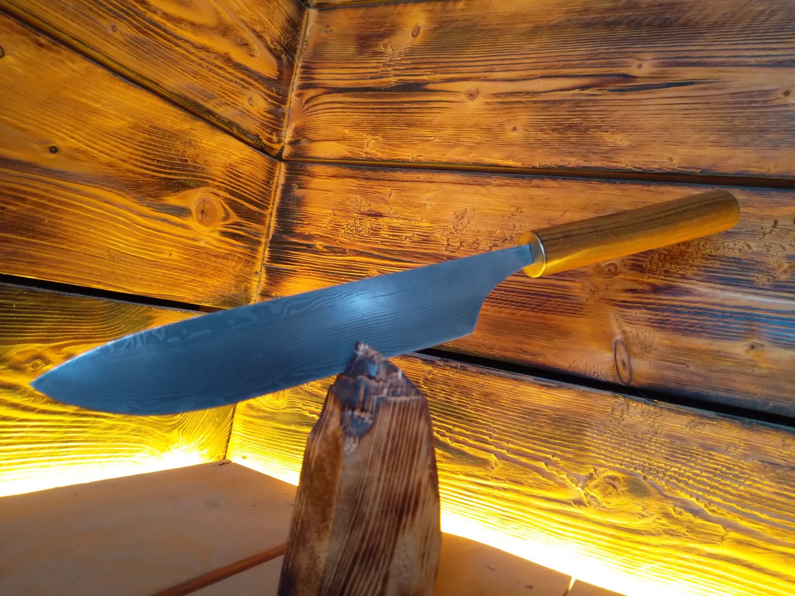 WhatsApp Image 2026-02-25 at 18.29.03 (3)